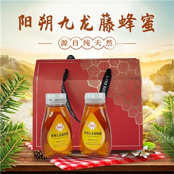 朱桥记九龙滕蜂蜜250g